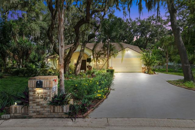 2770 BUCKHORN OAKS DRIVE, Valrico, FL 33594