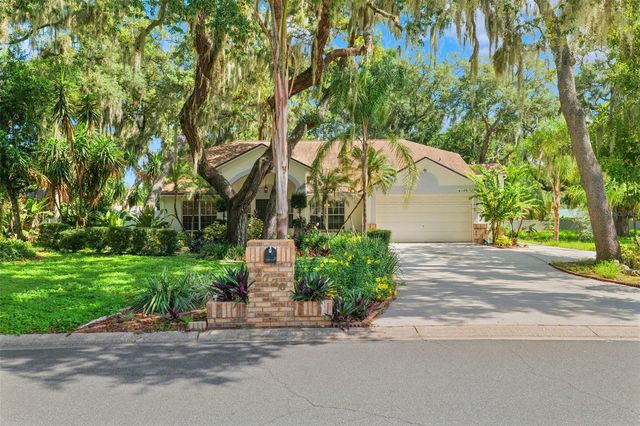 2770 BUCKHORN OAKS DRIVE, Valrico, FL 33594