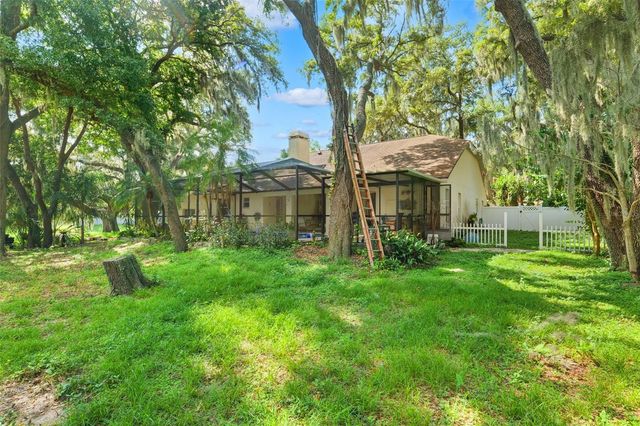 2770 BUCKHORN OAKS DRIVE, Valrico, FL 33594