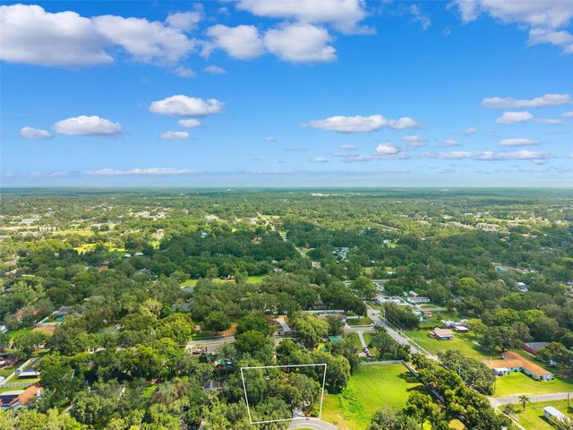 2770 BUCKHORN OAKS DRIVE, Valrico, FL 33594