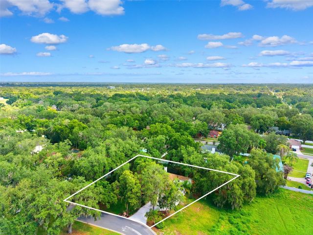 2770 BUCKHORN OAKS DRIVE, Valrico, FL 33594
