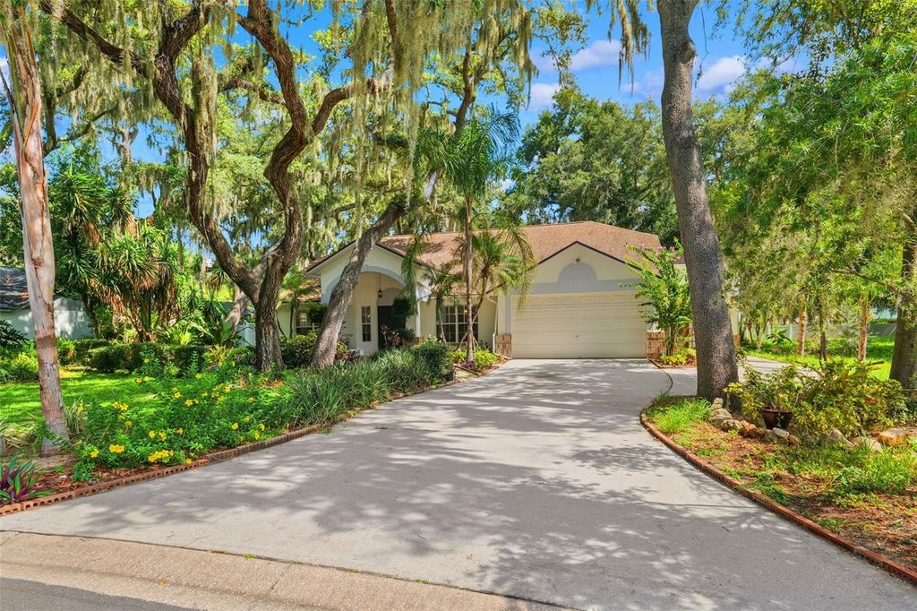 2770 BUCKHORN OAKS DRIVE, Valrico, FL 33594