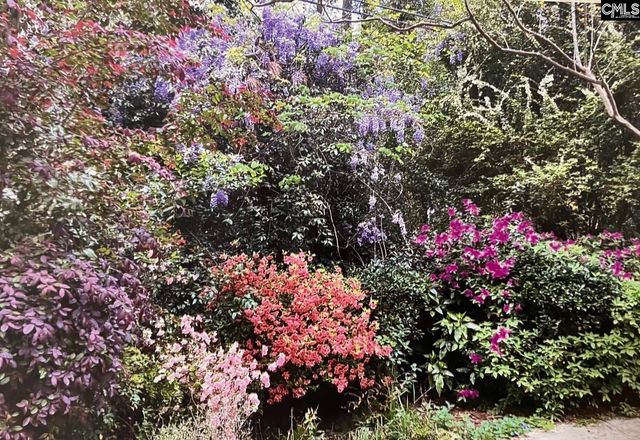 227 N Stonehedge Drive, Columbia, SC 29210