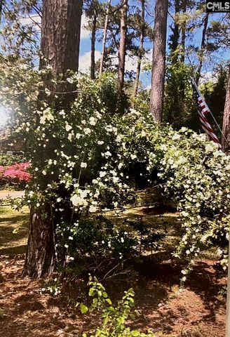 227 N Stonehedge Drive, Columbia, SC 29210