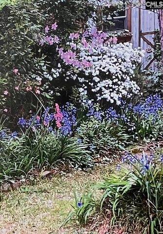 227 N Stonehedge Drive, Columbia, SC 29210