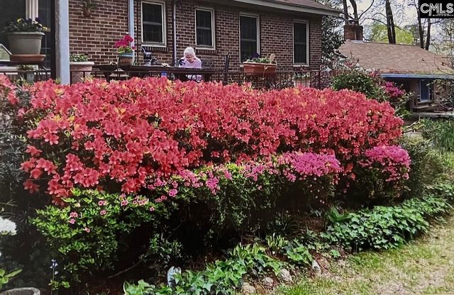 227 N Stonehedge Drive, Columbia, SC 29210