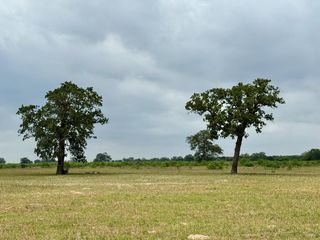 3 Big Sky Ranch RD, Smithville, TX 78957