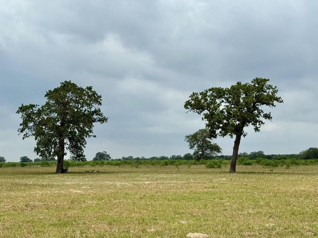 3 Big Sky Ranch RD, Smithville, TX 78957