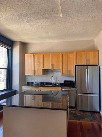 600 S Dearborn Street 1209, Chicago, IL 60605