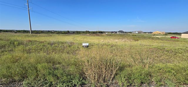 136 Fan Mill Trail, Weatherford, TX 76085