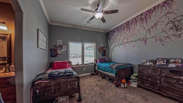 8551 E FM 1151, Amarillo, TX 79118