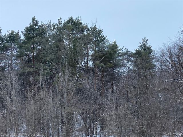 8899 Dwyer Road, Howell, MI 48855