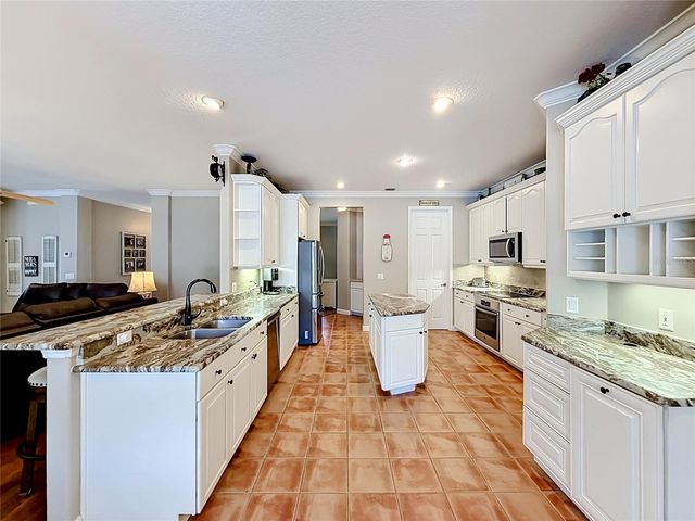 19512 SPRING OAK DRIVE, Eustis, FL 32736