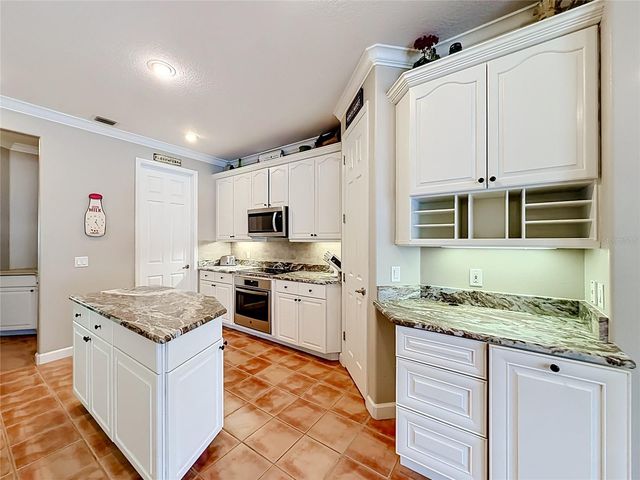 19512 SPRING OAK DRIVE, Eustis, FL 32736