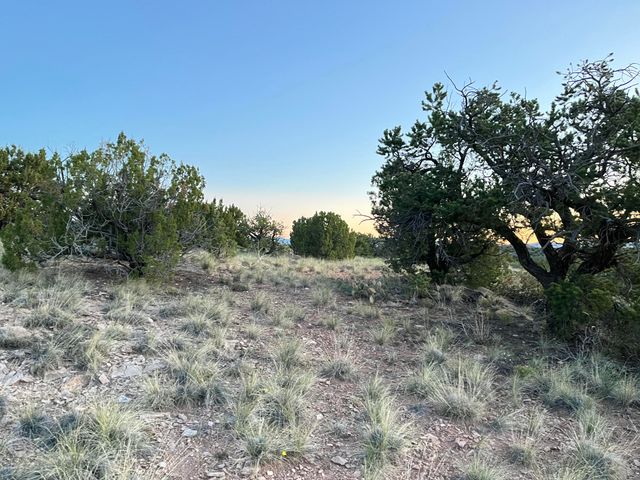 101 Wild Primrose Road, Placitas, NM 87043