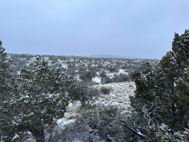 101 Wild Primrose Road, Placitas, NM 87043