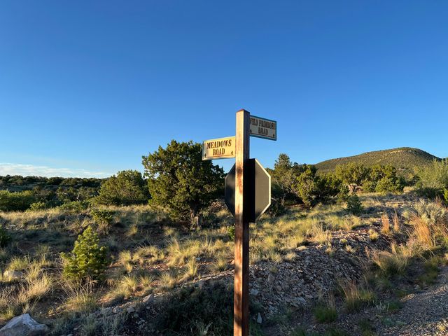 101 Wild Primrose Road, Placitas, NM 87043