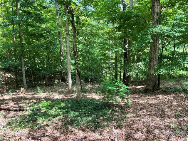 1374 Boatwright Trail, Murray, KY 42071