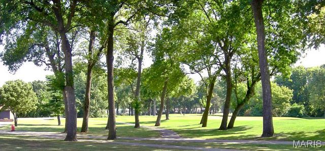 11001 Saint Raphael Lane, St Ann, MO 63074