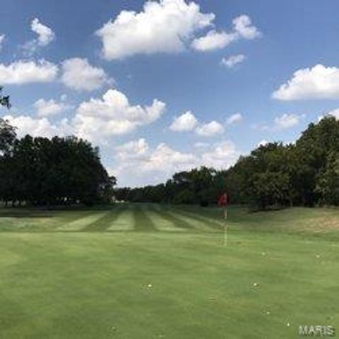 11001 Saint Raphael Lane, St Ann, MO 63074