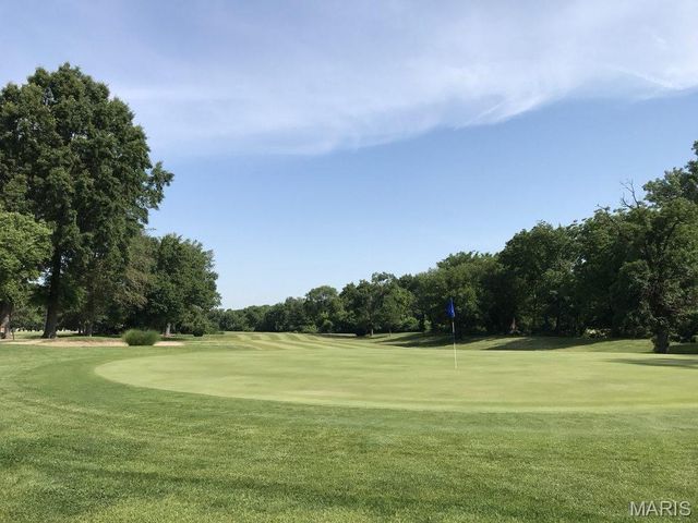 11001 Saint Raphael Lane, St Ann, MO 63074