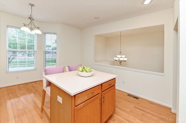 1217 Cutter Street, Cincinnati, OH 45203