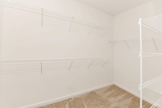 1217 Cutter Street, Cincinnati, OH 45203