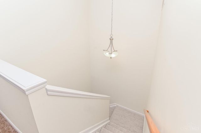 1217 Cutter Street, Cincinnati, OH 45203