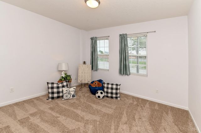 1217 Cutter Street, Cincinnati, OH 45203