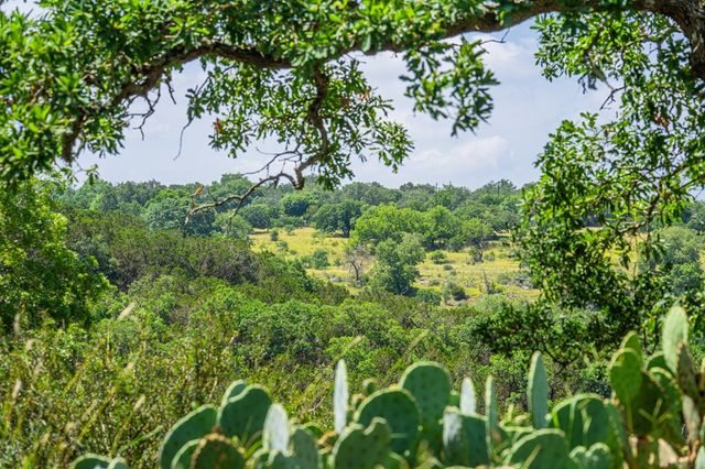 377 Green Oak Dr, Kerrville, TX 78028