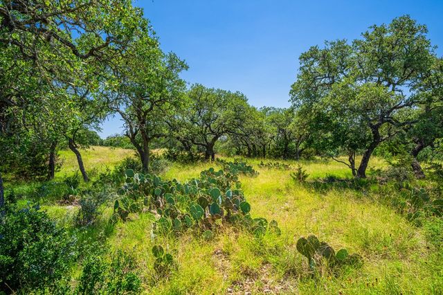 377 Green Oak Dr, Kerrville, TX 78028