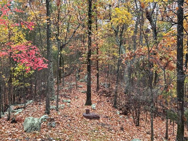 7128 White Oak Valley Road, Mcdonald, TN 37353