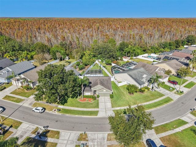 4511 GULFWINDS DRIVE, Lutz, FL 33558
