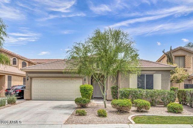 1167 N Cholla Street, Chandler, AZ 85224