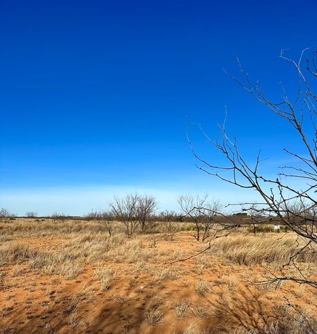 1630 County Rd 305, Colorado City, TX 79512