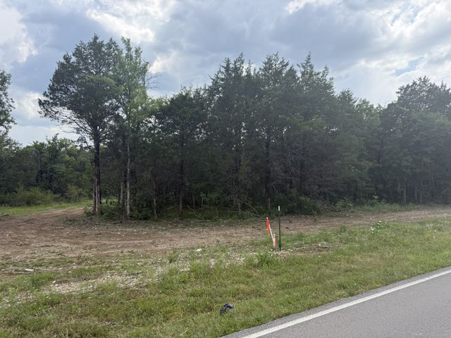 13 Vesta Rd, Lebanon, TN 37090