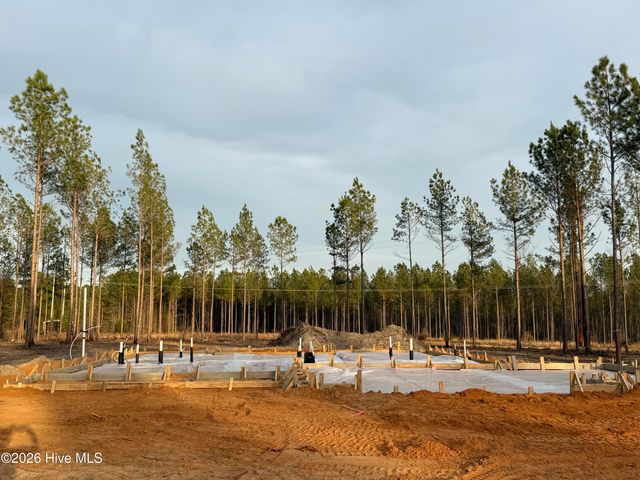 Tbd Doubs Chapel Road Lot 3, West End, NC 27376