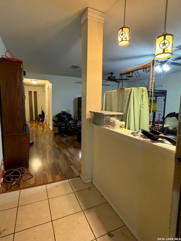 16318 Appaloosa Oak, Selma, TX 78154