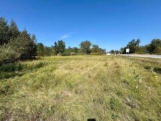 3523 Calhoun Road, Beaverton, MI 48612