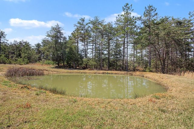 180 Gifford Ln, Hohenwald, TN 38462