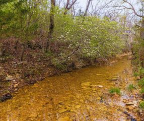 0000 Shelton Road, Willow Springs, MO 65793