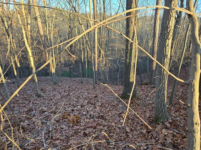 Lot 476 Riverview Drive, Ellijay, GA 30540