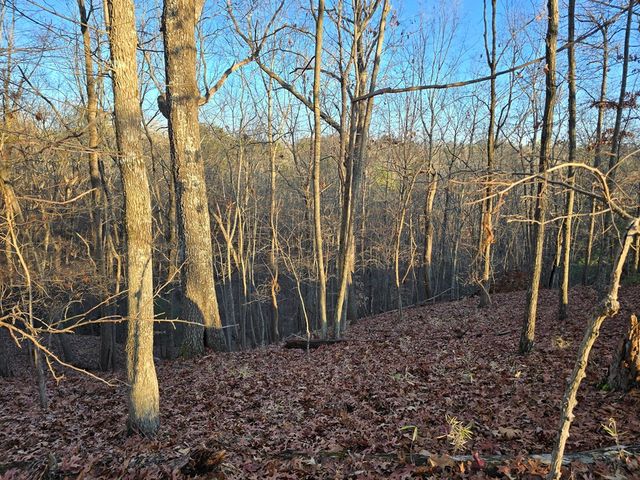 Lot 476 Riverview Drive, Ellijay, GA 30540
