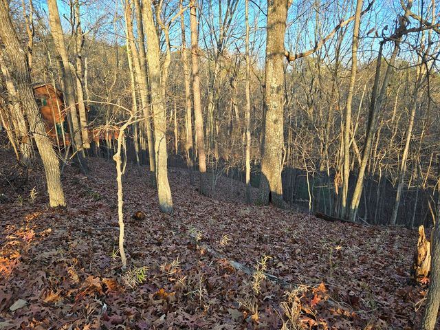 Lot 476 Riverview Drive, Ellijay, GA 30540