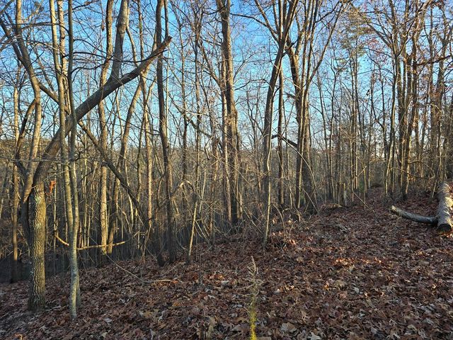 Lot 476 Riverview Drive, Ellijay, GA 30540