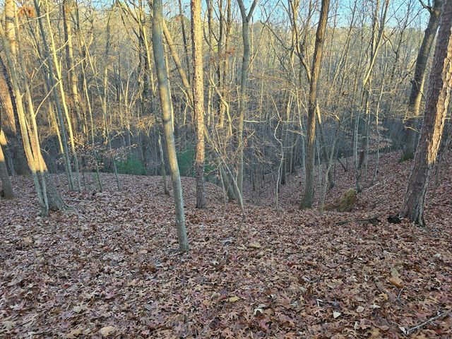Lot 476 Riverview Drive, Ellijay, GA 30540