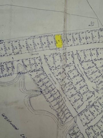 TBD37 Pinnacle, Trinity, TX 75862