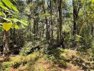 Lot 30 SW 31ST PLACE, Ocala, FL 34481