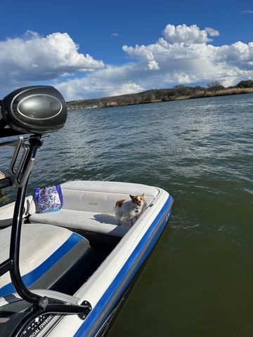 157 E White Rock ST, Buchanan Dam, TX 78609