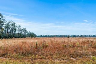 Mccorquodale Road Lot 17, Longville, LA 70652